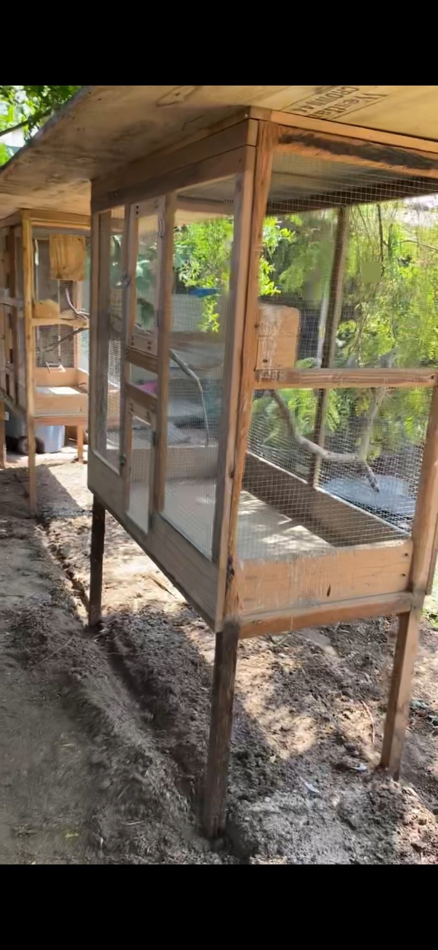 Big Bird Cage