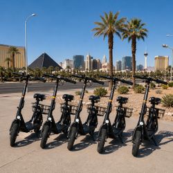 Electric Scooters