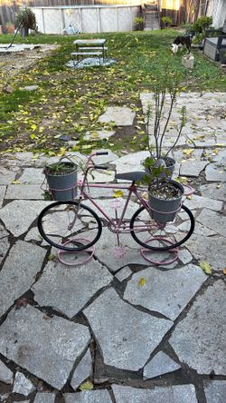 Planter Bike Potted Plant Succulent Floral Garden Bicycle 