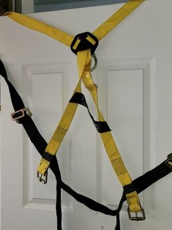 Safety Harnes