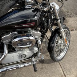 2009 883 Harley Davidson