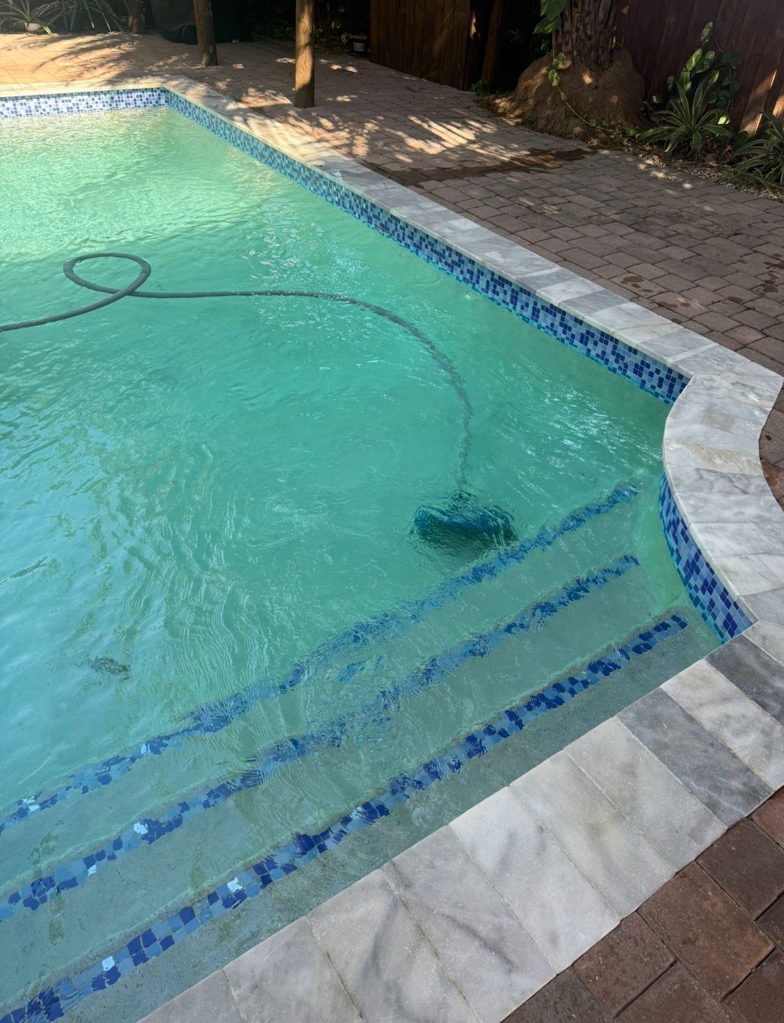 Pentair Dorado Suction-Side Pool Cleaner