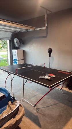 Ping pong table