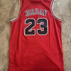 Men's Large Michael Jordan Red Chicago Bulls 1997/98 Authentic Jersey