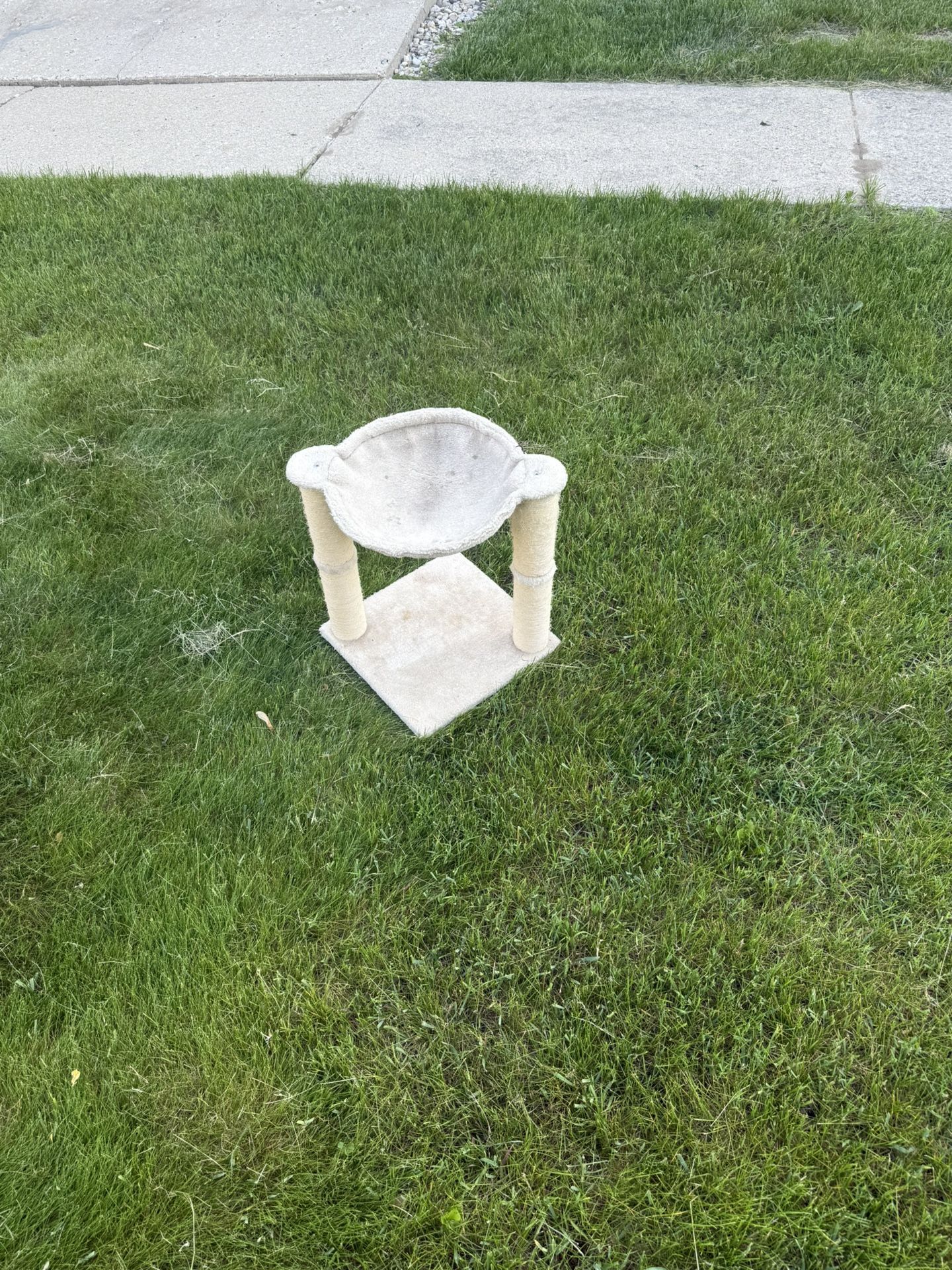 Cat Tower