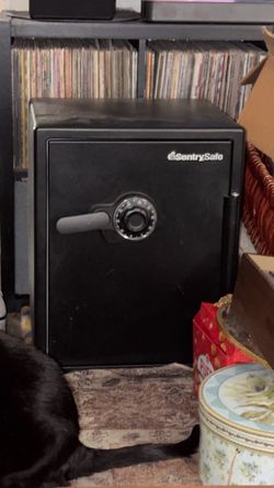 SentrySafe Fireproof/Waterproof Floor Safe