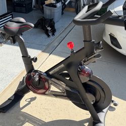 2023 Peleton Bike / hardly used 