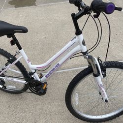 Open Box Bike Size 24