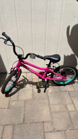 Guardian 16 inch bike