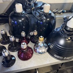 Reptile Lighting / Heating