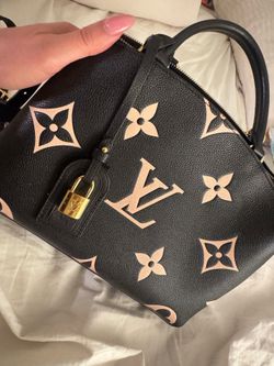 LV purse
