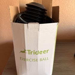 Trideer Exercise Ball 65cm + Pump 