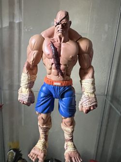 Sota Street Fighter Sagat