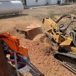 Stump Grinding