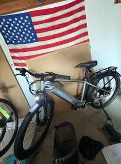 Velowave Ranger Ebike large