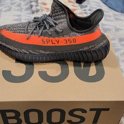 Yeezy Carbon Beluga Size 13