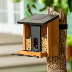 Bird Feeder solar