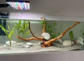 Magnium Fish tank