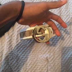 gucci belt (brown) (white)