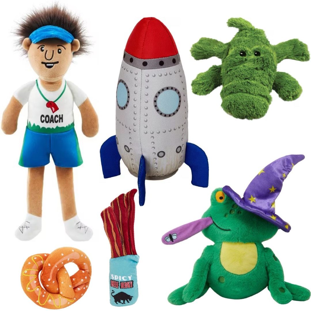 6 PACK SQUEAKY DOG TOY LOT Frisco Kong Chewy Squeaker Plush Crinkle Stuffed Animal Medium Large XL