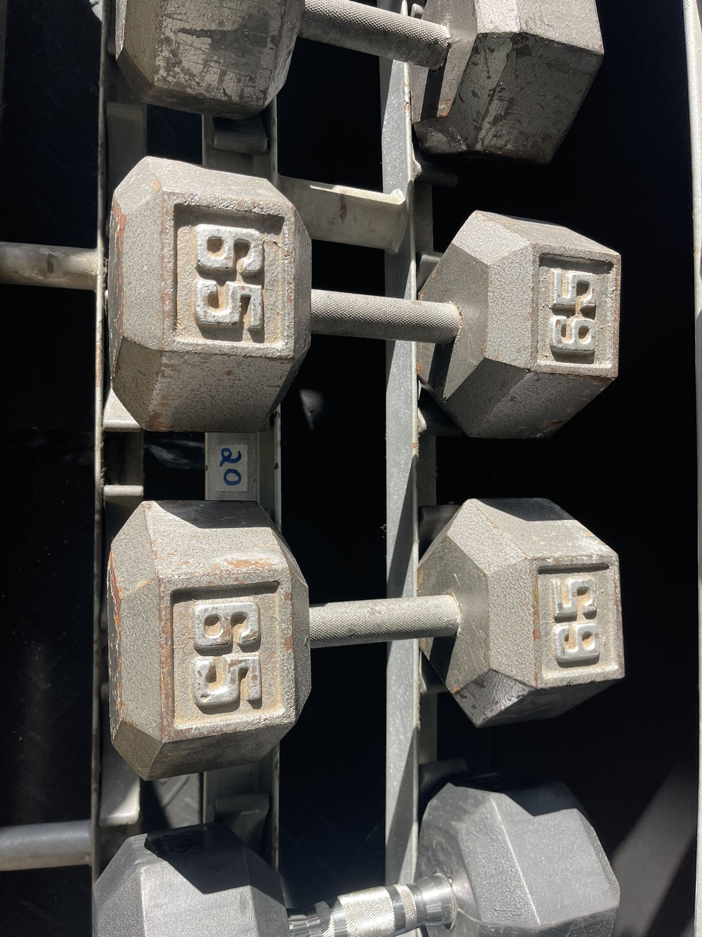 65lb Dumbbells