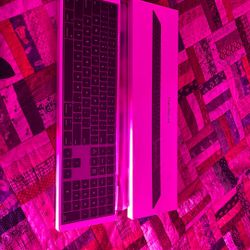 Apple Magic Keyboard With Numeric Keyboard