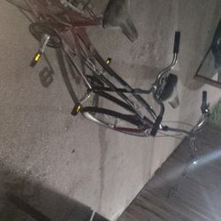 Two Seater Bike Works Great Nothing Wrong With It