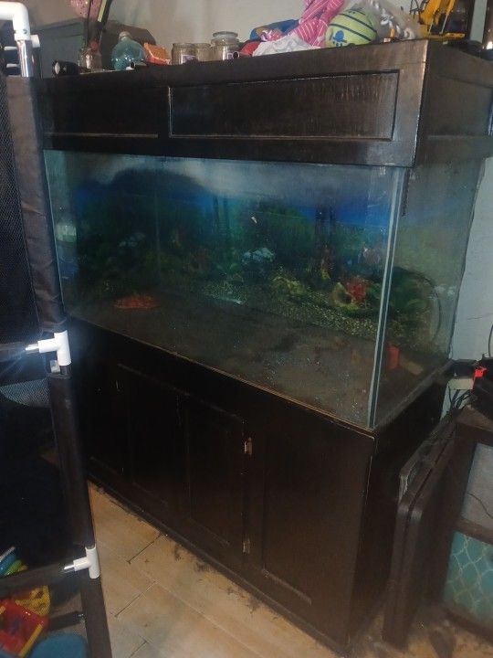 200 Gallon Tank. 60x24 Tank
