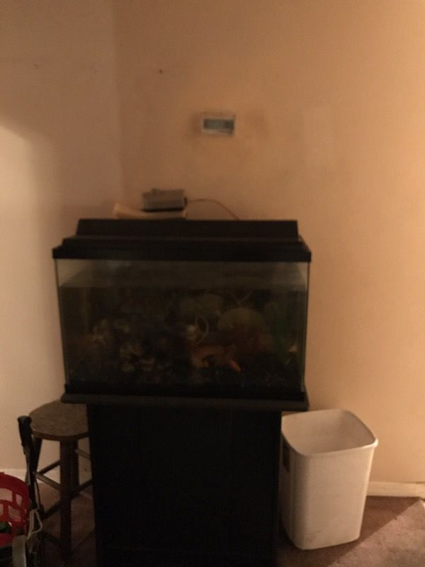 Fish tank with stand 50 gallon