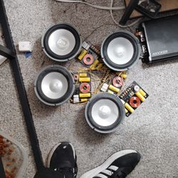 Infinity 10in Speakers