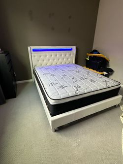 Queen Size Bed Frame With Led Lights  / Mattress Included
New in a box 
      

Cama Queen con Luz Led   Colchon Incluido Nueva En Caja
Entregamos a d