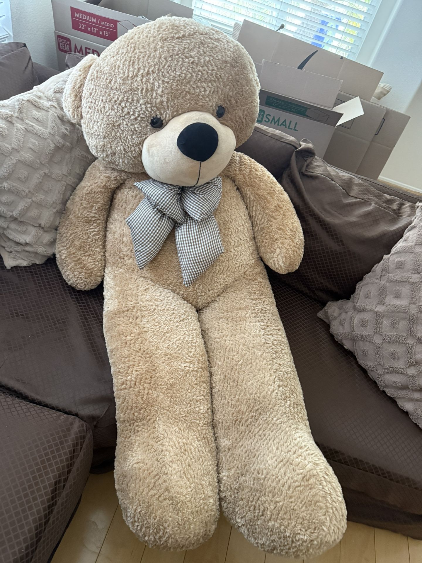 Giant Teddy Bear Ray Korvay