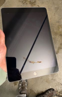 Apple iPad 9th gen