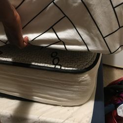 Free Bed, Bunk Bed, 2 Queen Mattress & 2 Headboards.
