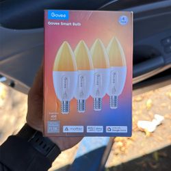 Govee E12 Led Bulb, Smart Light Bulbs Work with Matter, Alexa, Google Assistant, WiFi Candelabra Bulbs 40 Watt Equivalent, RGBWW Color Changing Light 