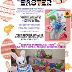 Easter Bunny 