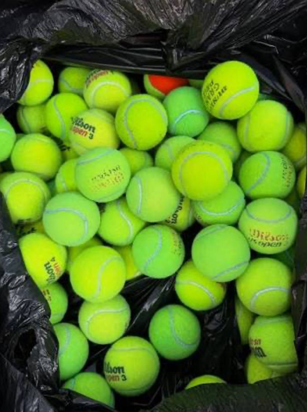 Used Tennis Balls 