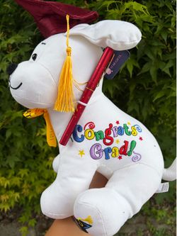 Graduation 👩‍🎓 plushies