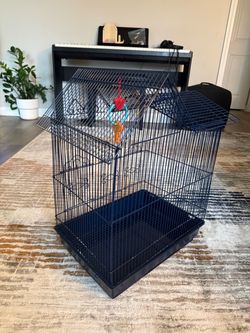 Birds cage