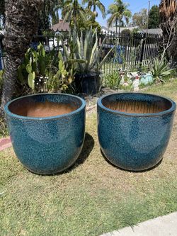 Large Ceramic Planters-Ceramic Wide Pots $250 each