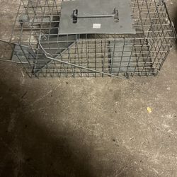 Animal Trap