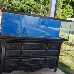 120 GALLON FISH TANK NEED GONE ASAP
