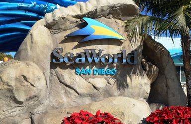 Sea World San Diego All Day Entrance Tickets 40$ Each 