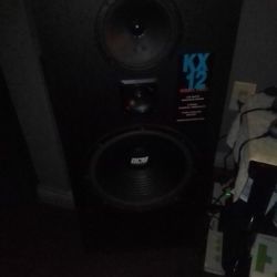 D C M  12inch  House Speakers