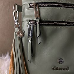 Sage green Gionni crossbody purse