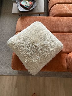Floor pillow
