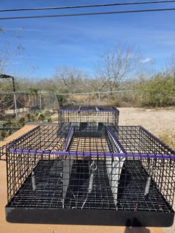 Rabbit Transport Cage