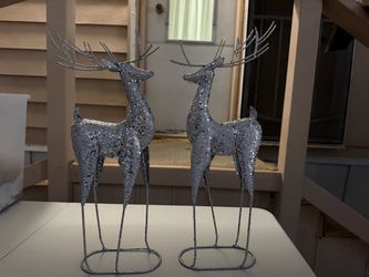 Reindeer,