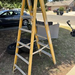 Werner 6ft Ladder 🪜 