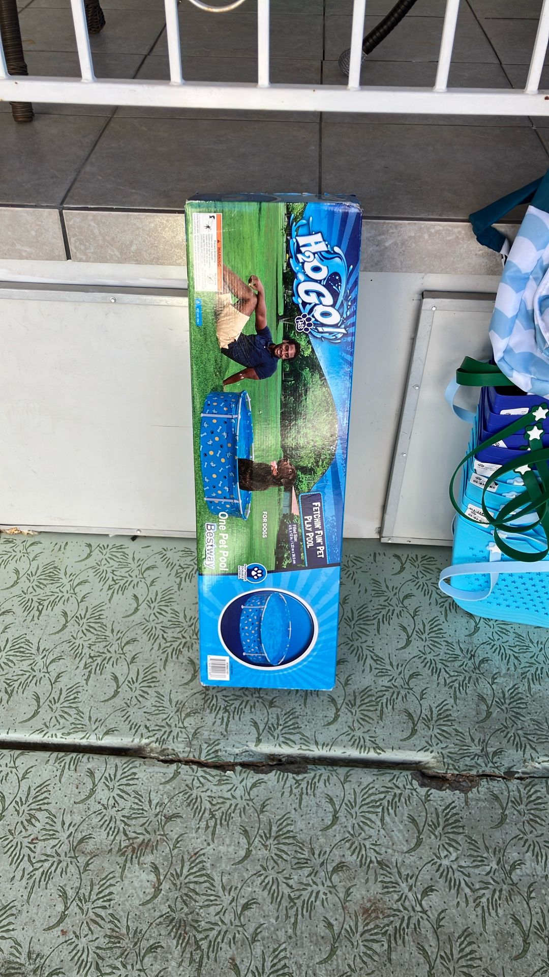 Dog pool